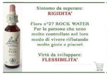 fiore di bach rock water