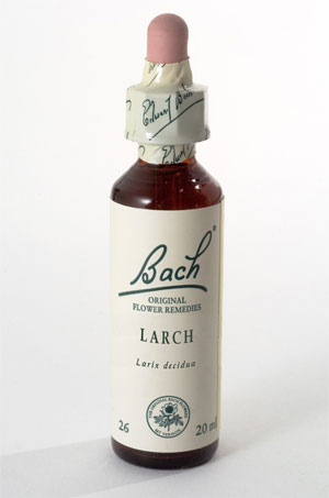 Fiore di bach
